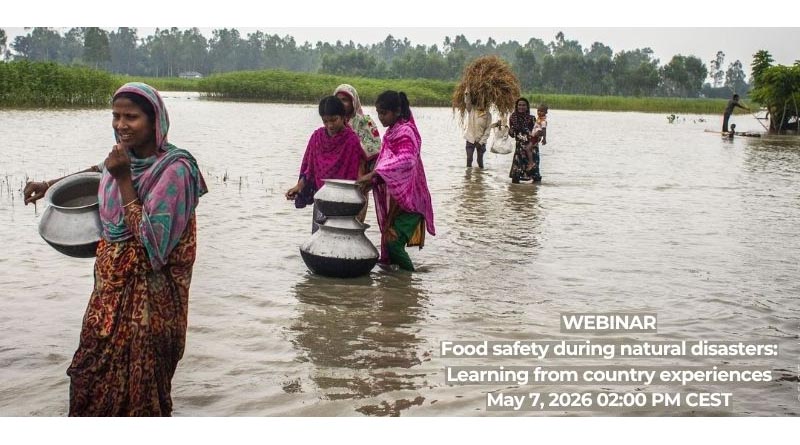 New FAO Webinar On Food Safety Management In Natural Disasters