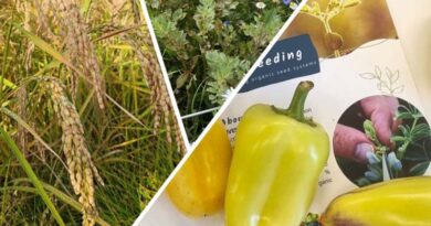 LiveSeeding Summer School 2026 in Spain