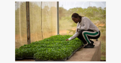 Time To Put Plant Health At The Heart Of One Health, Experts Say Time To Put Plant Health At The Heart Of One Health, Experts Say