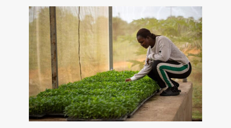 Time To Put Plant Health At The Heart Of One Health, Experts Say