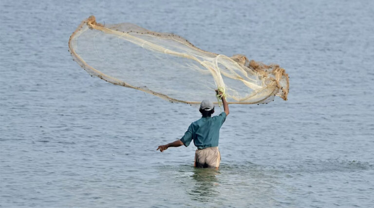 India Seafood Exports Hit Record ₹72,325 Crore in FY 2025–26