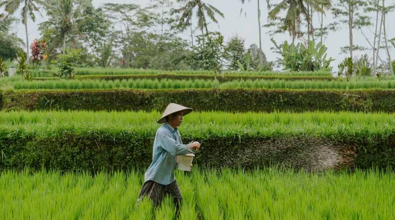 Asia Produces 54% of Global Farm Output, Yet 44% of World’s Food Insecure Live in the Region