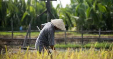 Across 39 Countries, Asia-Pacific Agriculture Faces a New Era of Compounding Risks
