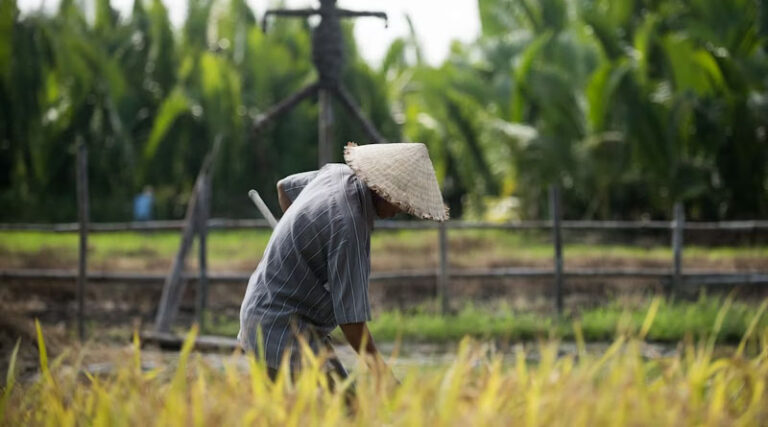 Across 39 Countries, Asia-Pacific Agriculture Faces a New Era of Compounding Risks