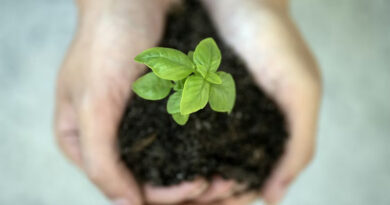 Earth Beneath Our Feet: The Silent Foundation of Sustainable Agriculture
