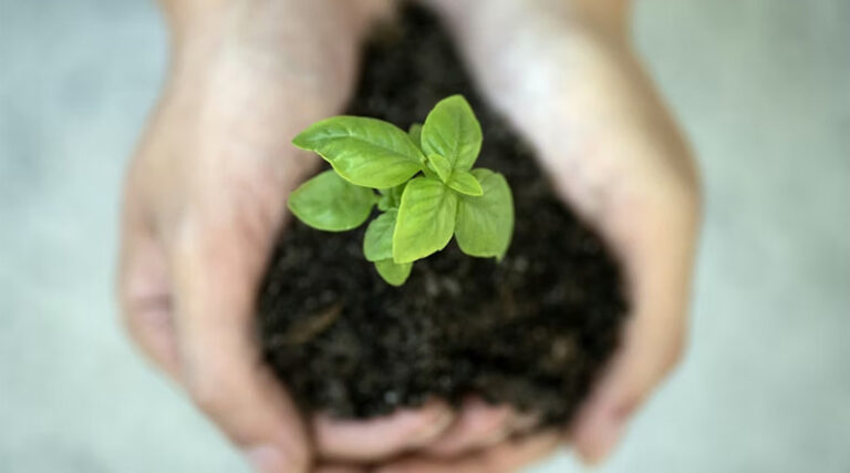 Earth Beneath Our Feet: The Silent Foundation of Sustainable Agriculture