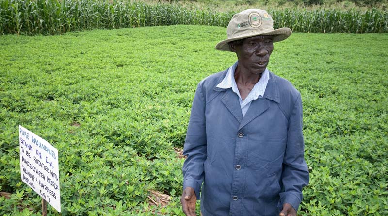 Africa’s Forgotten Crops Could Be The Future Of Food Security
