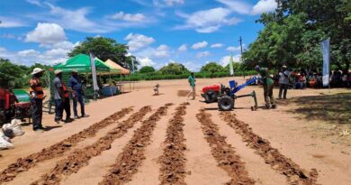 From Awareness to Markets in the Sorghum Value Chain