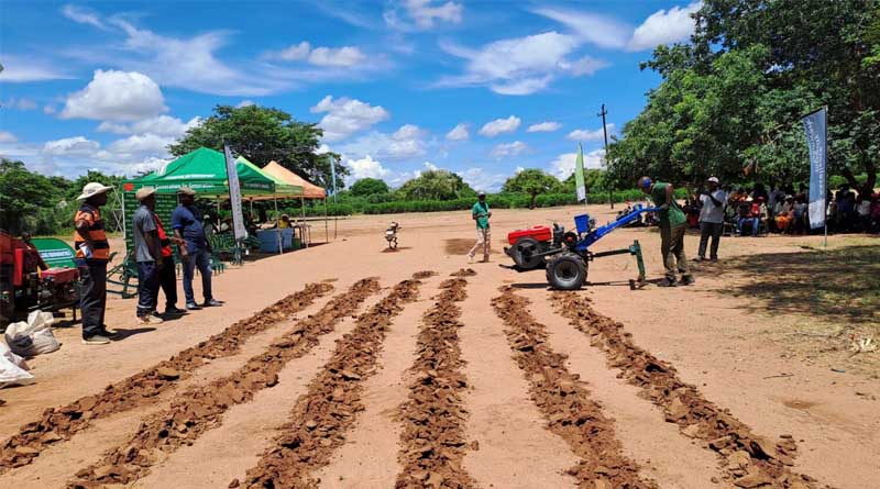 From Awareness to Markets in the Sorghum Value Chain