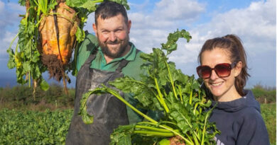 Nutrition Focus Helps Drive Fodder Beet Yields