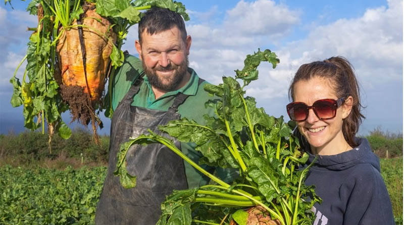 Nutrition Focus Helps Drive Fodder Beet Yields