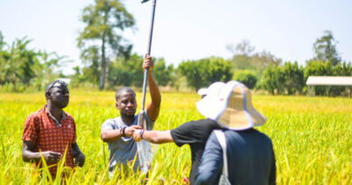 New International Network Launched To Transform Environmental Monitoring And Climate‑smart Farming Across Africa New International Network Launched To Transform Environmental Monitoring And Climate‑smart Farming Across Africa