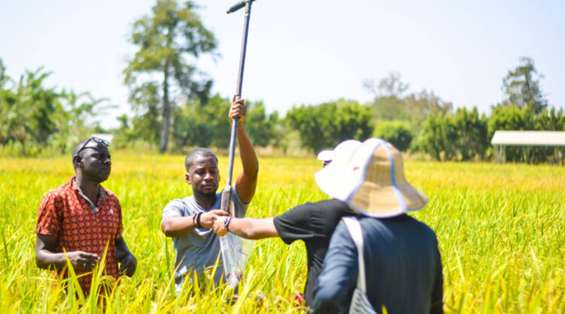 New International Network Launched To Transform Environmental Monitoring And Climate‑smart Farming Across Africa
