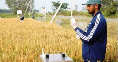 Amazon Signs Deal with Bayer-Backed The Good Rice Alliance, Commits to 685,000+ Carbon Credits