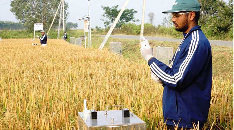 Amazon Signs Deal with Bayer-Backed The Good Rice Alliance, Commits to 685,000+ Carbon Credits