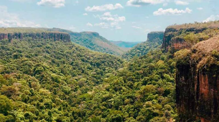 Verra Approves World’s First Carbon Credits Under New ARR Methodology VM0047 for Brazil Cerrado Project
