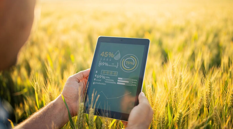 Why Data Stewardship Matters For Understanding Crop Loss
