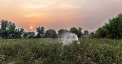 How Social and Behaviour Change Communication is changing pesticide use in Pakistan How Social and Behaviour Change Communication is changing pesticide use in Pakistan