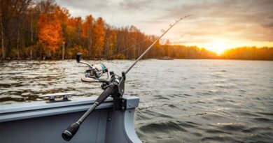 Yangtze River Fishing Ban Yields Notable Phased Results