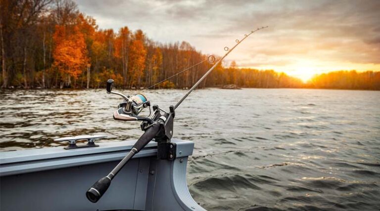 Yangtze River Fishing Ban Yields Notable Phased Results