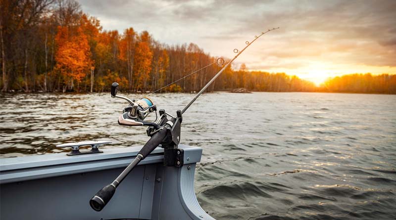 Yangtze River Fishing Ban Yields Notable Phased Results