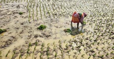 India: Maharashtra Agri-Input Sector Announces April 27 Shutdown Amid ‘Inspector Raj’ Concerns