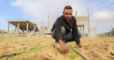 Acute Food Insecurity And Malnutrition Remain Alarmingly High As Crises Deepen, UN, EU and Partners Warn In New Report Acute Food Insecurity And Malnutrition Remain Alarmingly High As Crises Deepen, UN, EU and Partners Warn In New Report