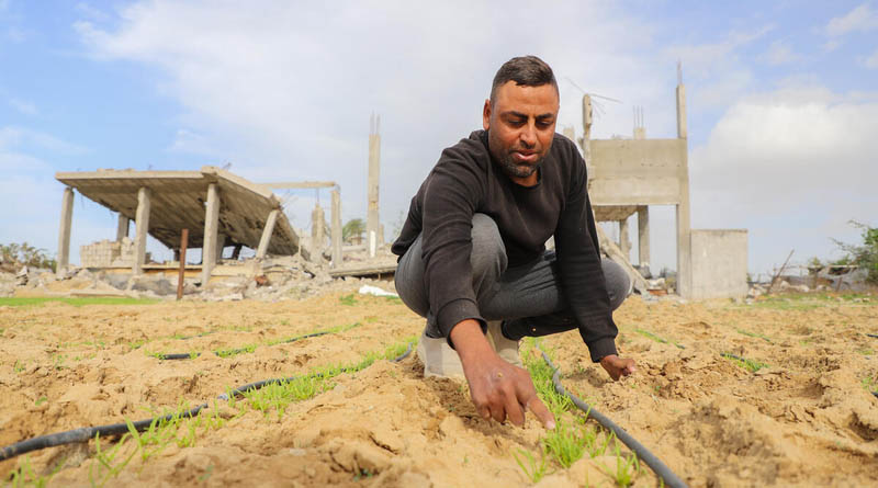 Acute Food Insecurity And Malnutrition Remain Alarmingly High As Crises Deepen, UN, EU and Partners Warn In New Report