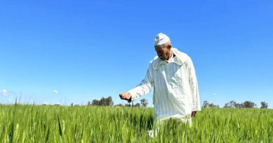 Food Systems Under Strain: Navigating Conflict, Climate, And Scarcity