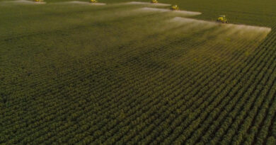 Syngenta Digital Introduces Cropwise Operations in Brazil to Close the Gap Between Planning and Execution in the Field Syngenta Digital Apresenta Cropwise Operations No Brasil Para Fechar Lacuna Entre Planejamento E Execução No Campo