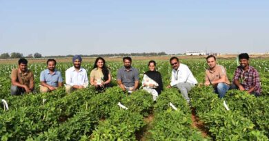 ICRISAT Scientists Decode the Genetics Behind Seed Coat Removal in Industry-Ready Groundnut ICRISAT Scientists Decode the Genetics Behind Seed Coat Removal in Industry-Ready Groundnut