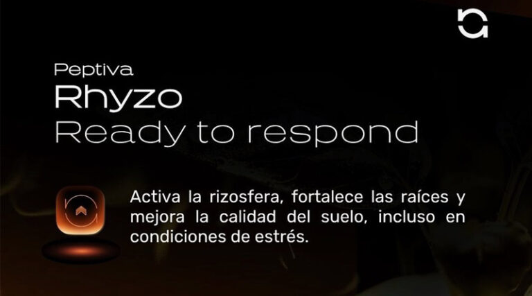 Agronova Biotech Launches Peptiva Rhyzo, a New-Generation Soil-Applied Biostimulant