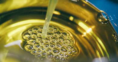 India Imports 60% of Its Edible Oil Needs as Global Tensions Reshape Trade Flows