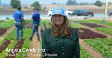 Fourth Generation Lettuce Grower: Access to Innovation Matters