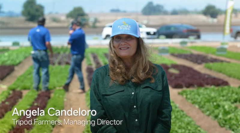 Fourth Generation Lettuce Grower: Access to Innovation Matters