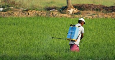 Pesticide Management Bill 2025: Can Stronger Enforcement Powers Finally Curb Fake Agrochemical Sales in India? Pesticide Management Bill 2025: Can Stronger Enforcement Powers Finally Curb Fake Agrochemical Sales in India?