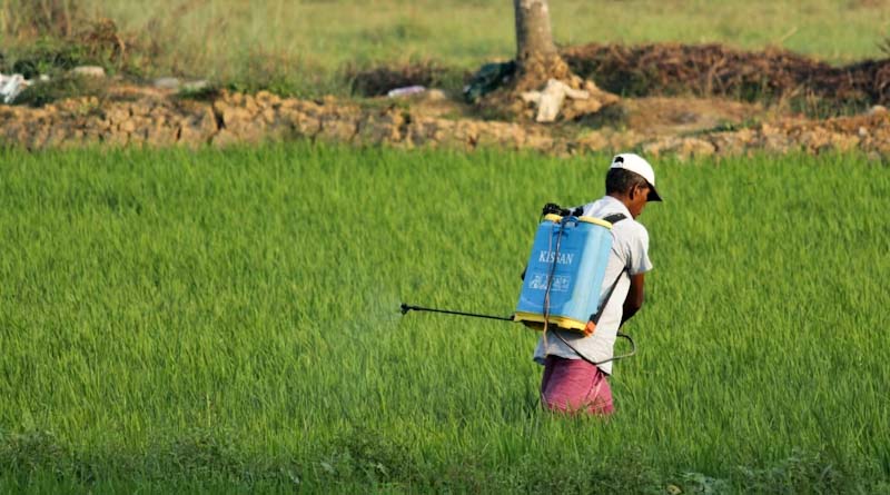 Pesticide Management Bill 2025: Can Stronger Enforcement Powers Finally Curb Fake Agrochemical Sales in India?