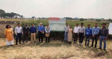 India's Quiet 'Pulses Revolution' To Serve 100% Homegrown Dal