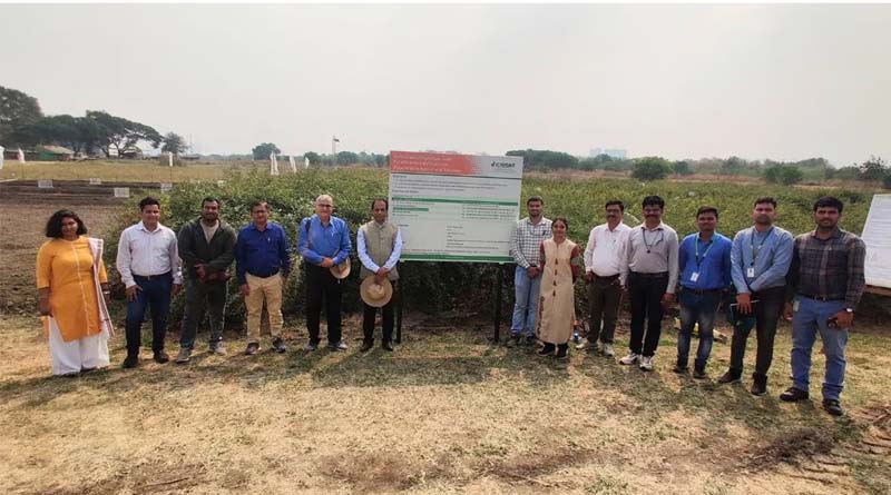 India's Quiet 'Pulses Revolution' To Serve 100% Homegrown Dal