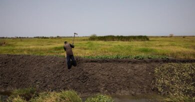 Hunger Intensifies in South Sudan As 7.8 Million People Face High Acute Food Insecurity And 2.2 Million Children Suffer Acute Malnutrition