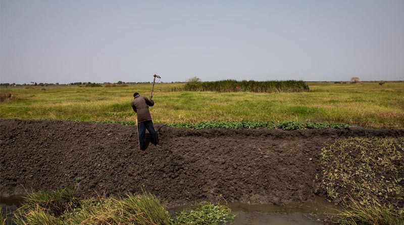 Hunger Intensifies in South Sudan As 7.8 Million People Face High Acute Food Insecurity And 2.2 Million Children Suffer Acute Malnutrition