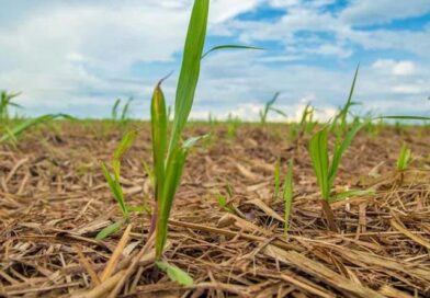 agro news