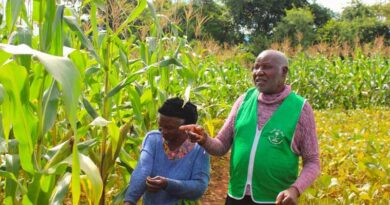 From ONE Field To Many: How Farmer-led Learning Drives Agricultural Scaling
