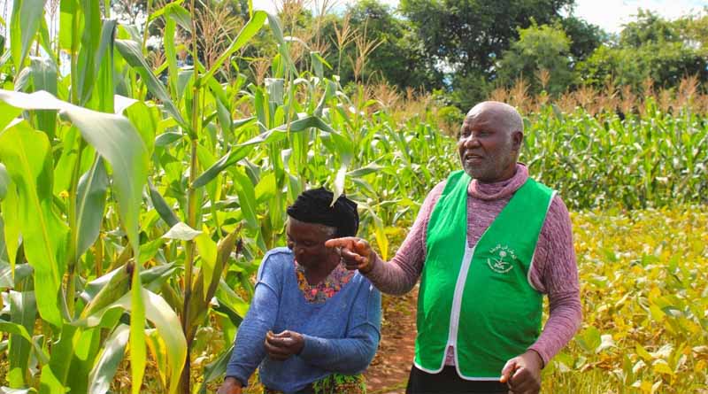 From ONE Field To Many: How Farmer-led Learning Drives Agricultural Scaling