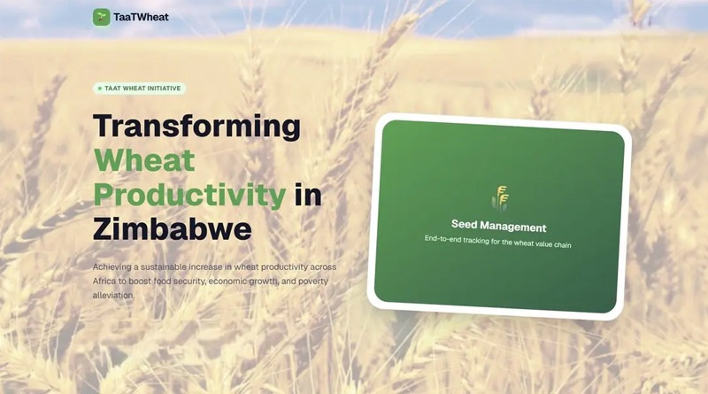 ICARDA Supports Zimbabwe’s Digital Seed Systems Transformation