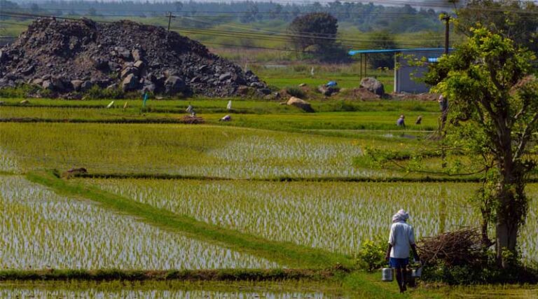 Generative AI-Powered Voice Technology In Agricultural Advisory Services: Lessons From India