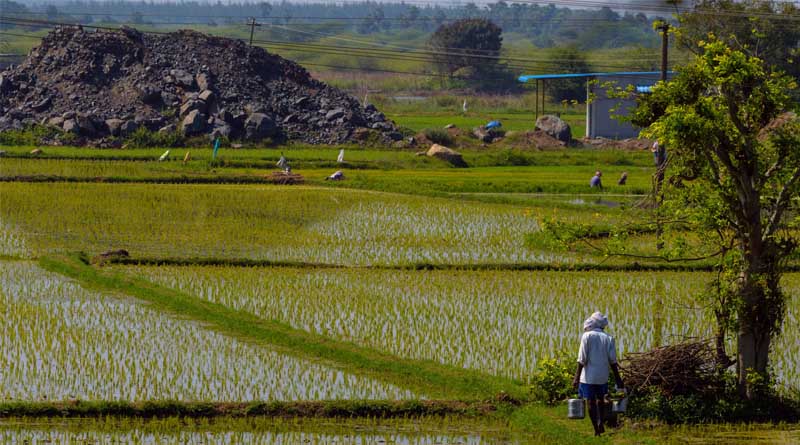 Generative AI-Powered Voice Technology In Agricultural Advisory Services: Lessons From India