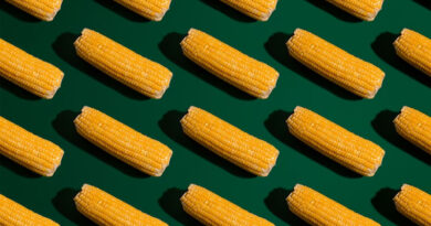 The Architects Of Your Plate: Without Crop Breeding, Your Plate Would Be Empty