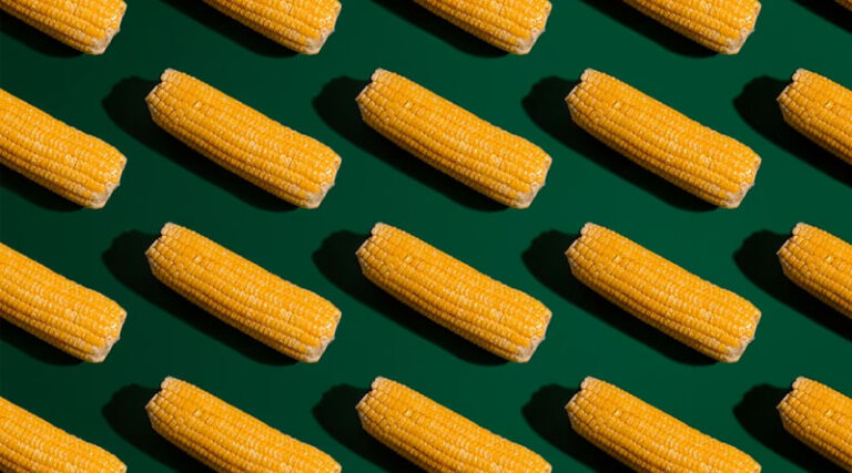 The Architects Of Your Plate: Without Crop Breeding, Your Plate Would Be Empty