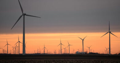 India achieves highest-ever annual wind energy addition of 6.05 GW in 2025–26